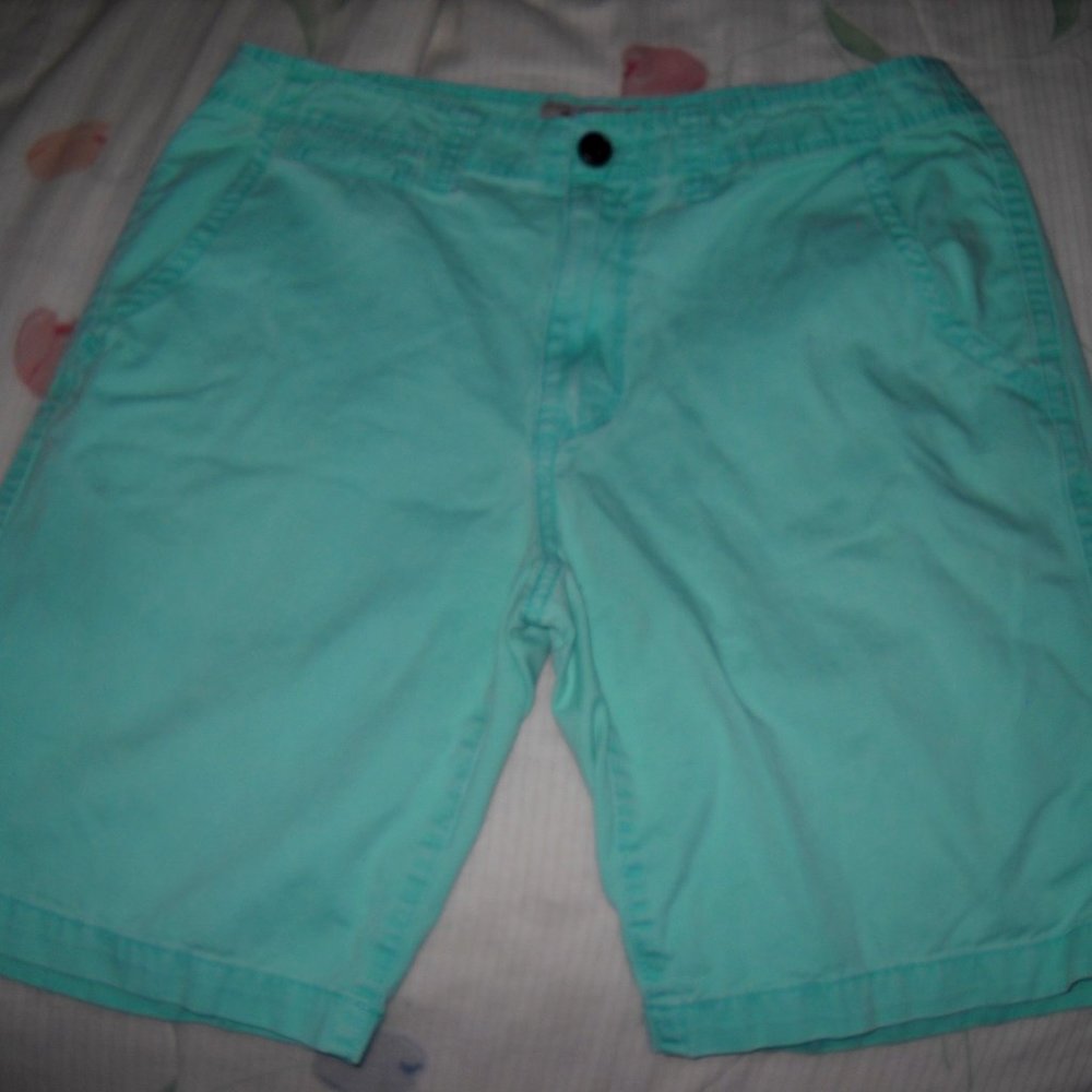 Arizona Jeans Co. Teal Shorts Men's Size 31